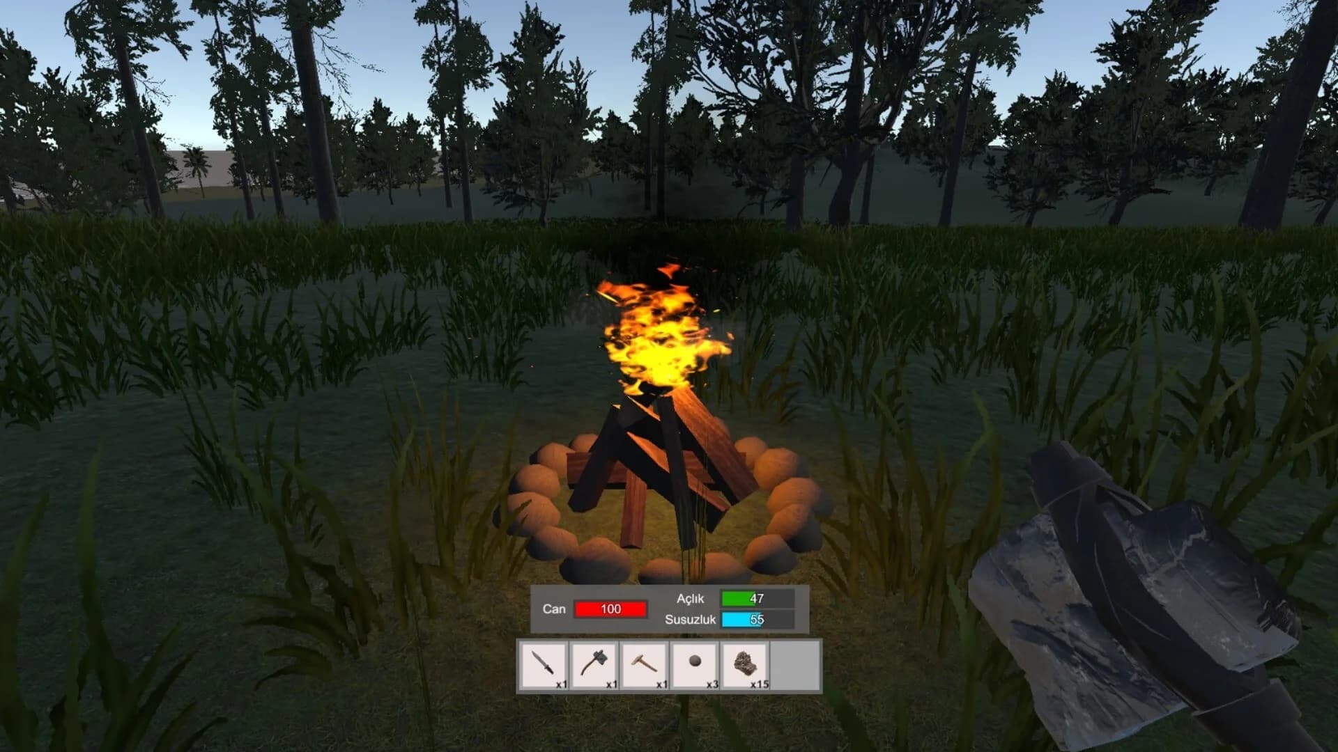 Accursed Isle: Survival görsel 6