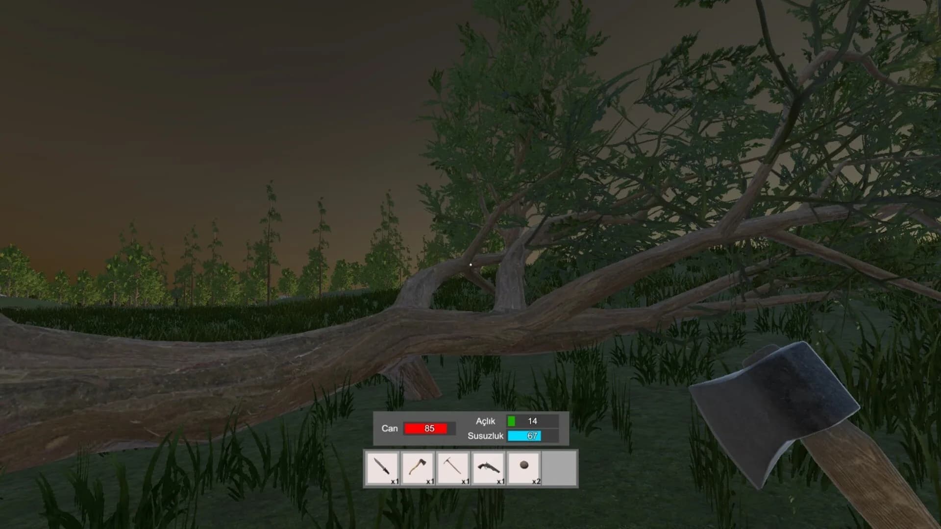 Accursed Isle: Survival görsel 11