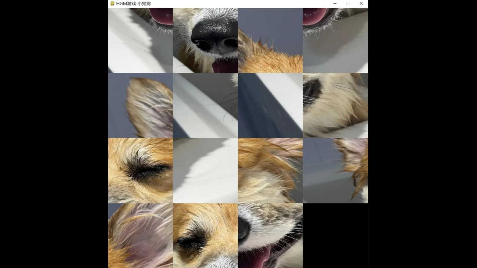 hgmGame-dog görsel 2