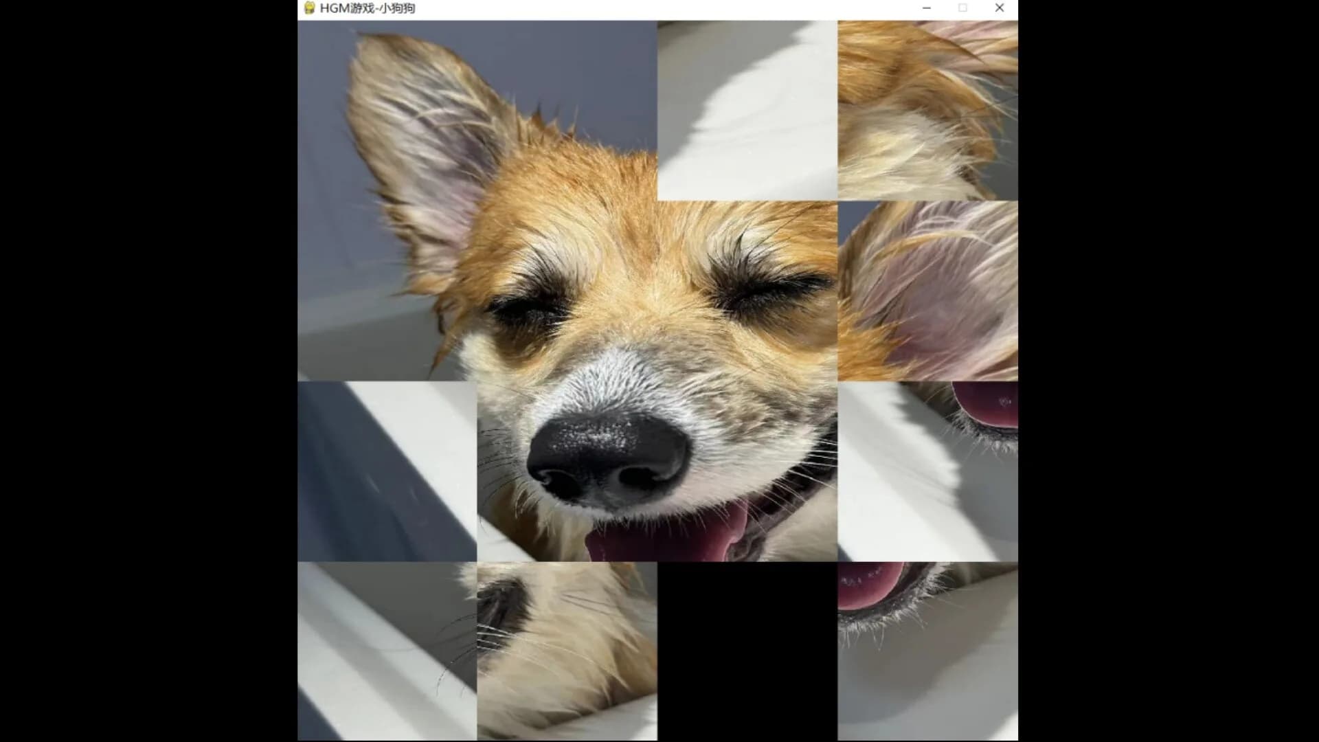 hgmGame-dog görsel 3