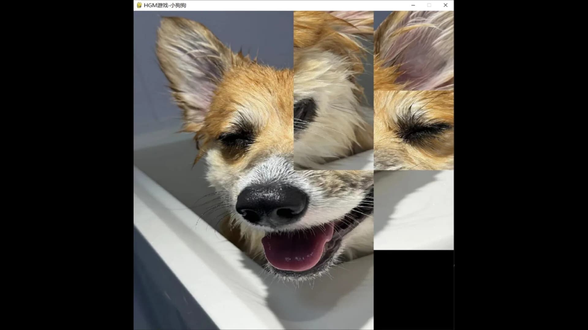 hgmGame-dog görsel 4