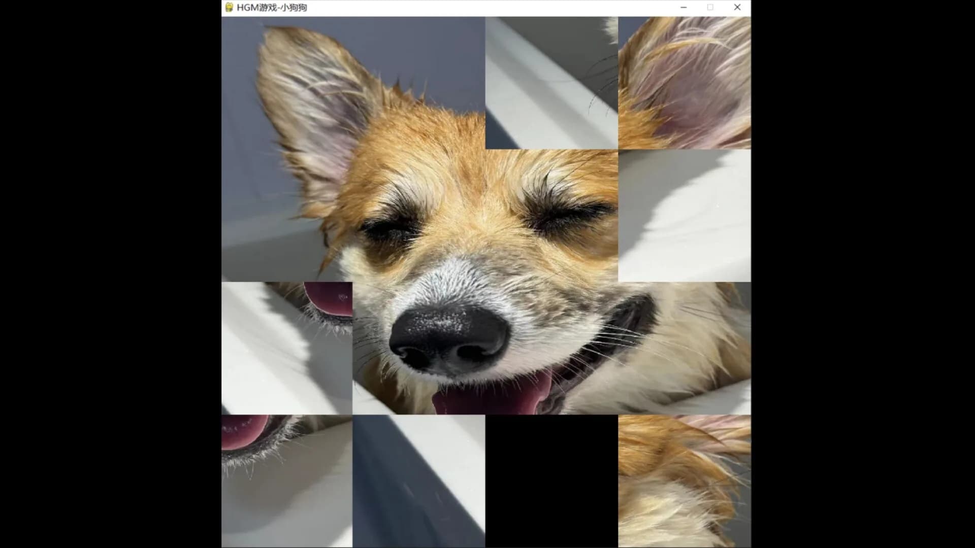 hgmGame-dog görsel 5
