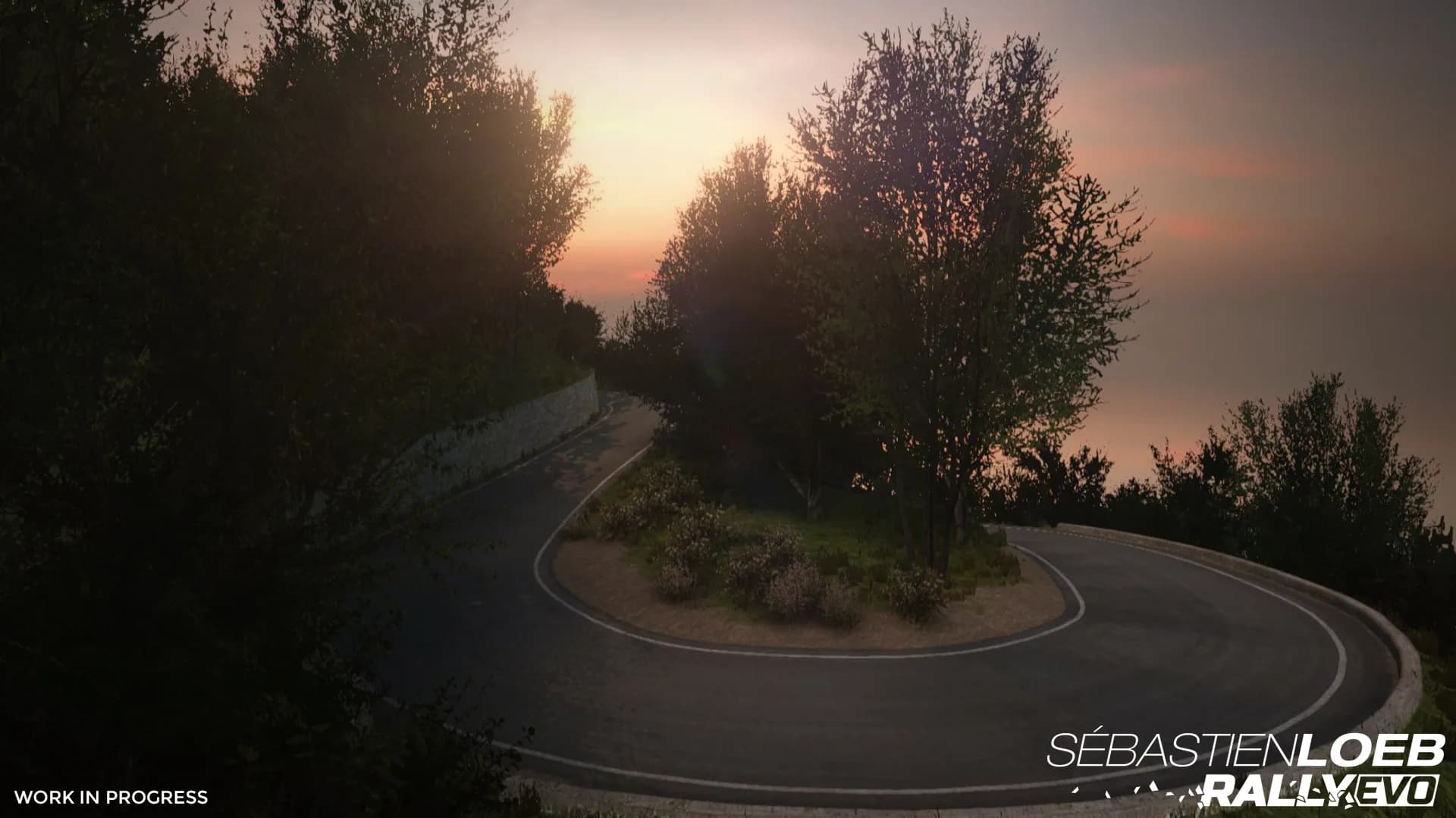 Sébastien Loeb Rally EVO görsel 15