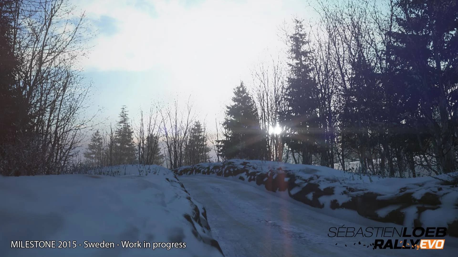 Sébastien Loeb Rally EVO görsel 22