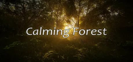 Calming Forest