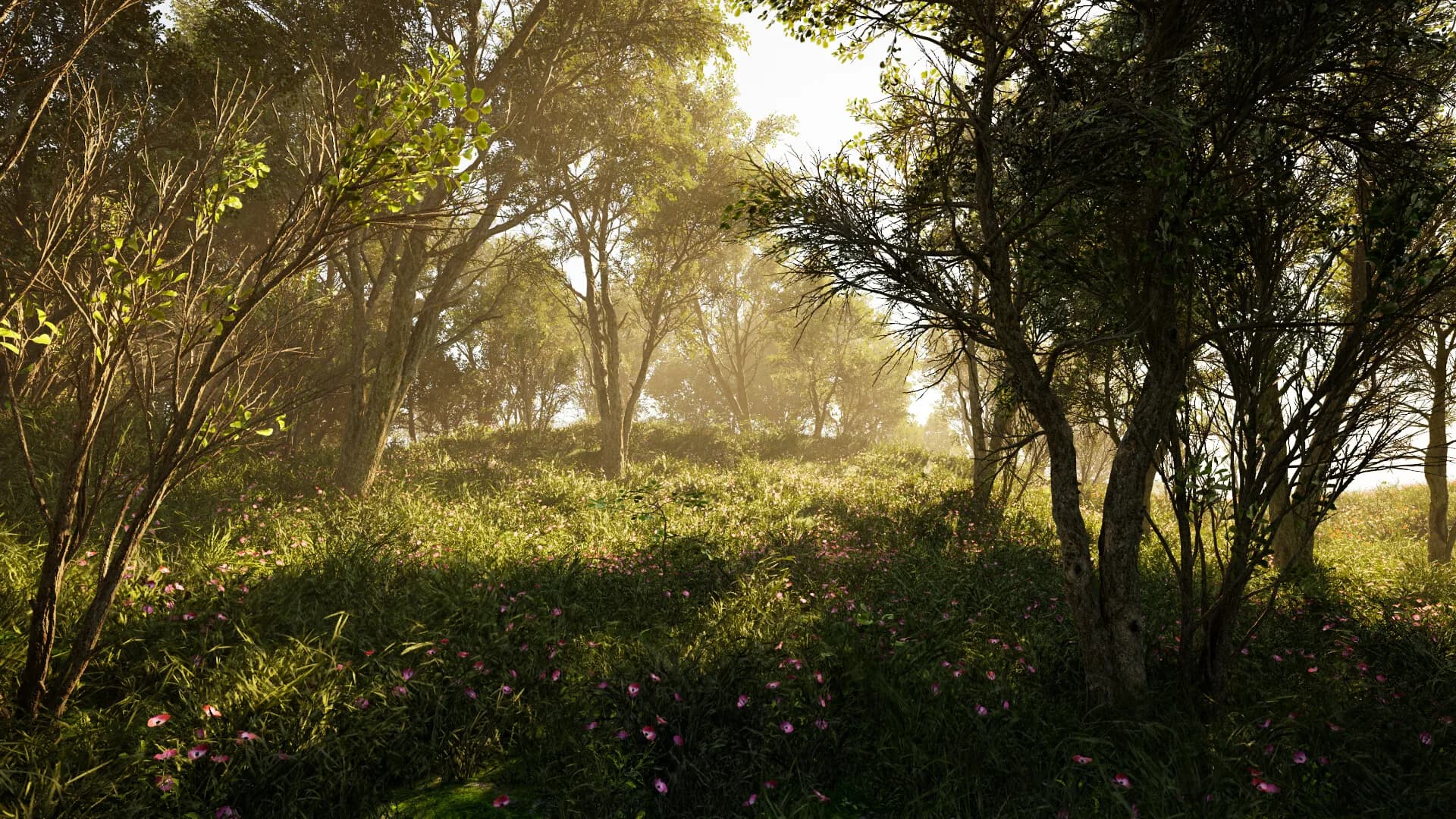 Calming Forest görsel 3