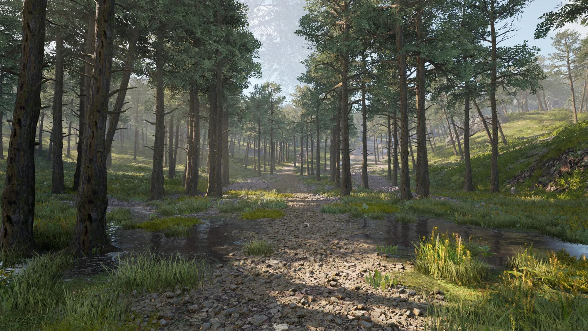 Calming Forest görsel 12