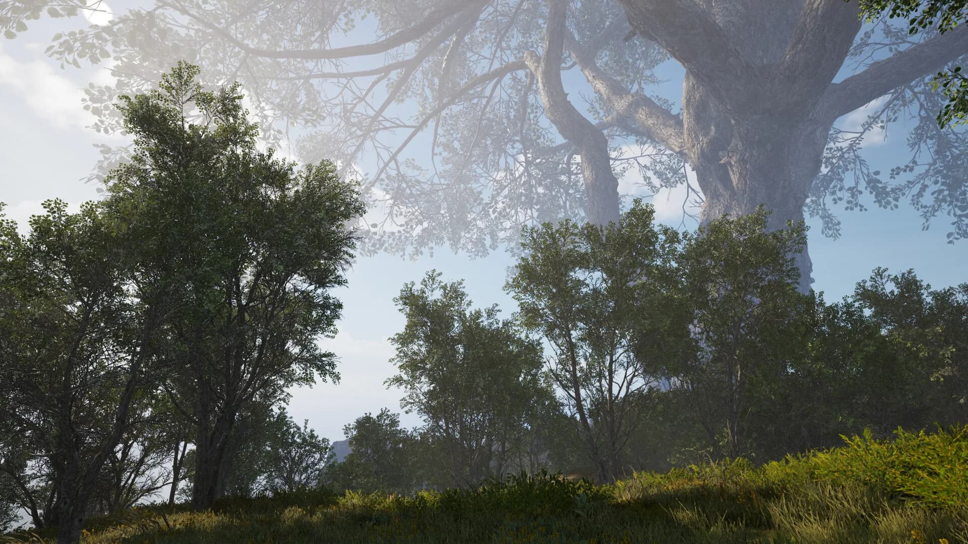 Calming Forest görsel 15