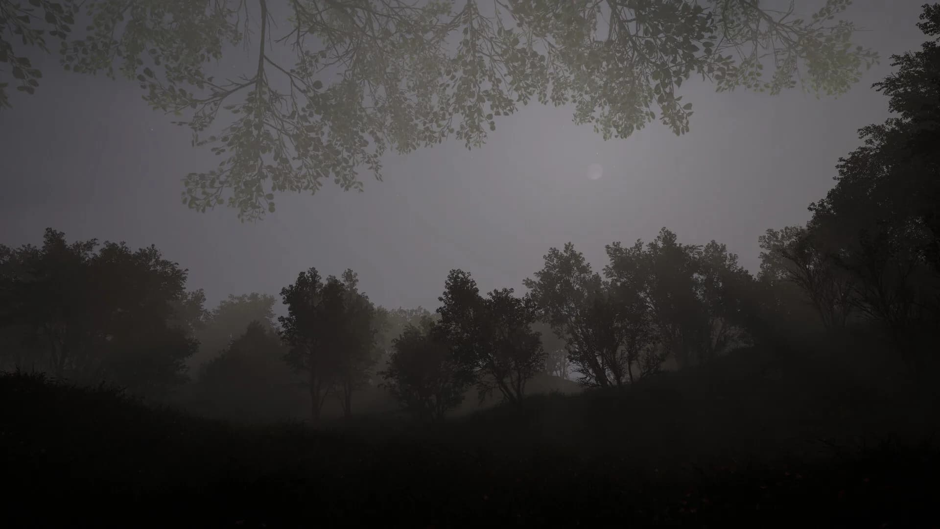 Calming Forest görsel 5