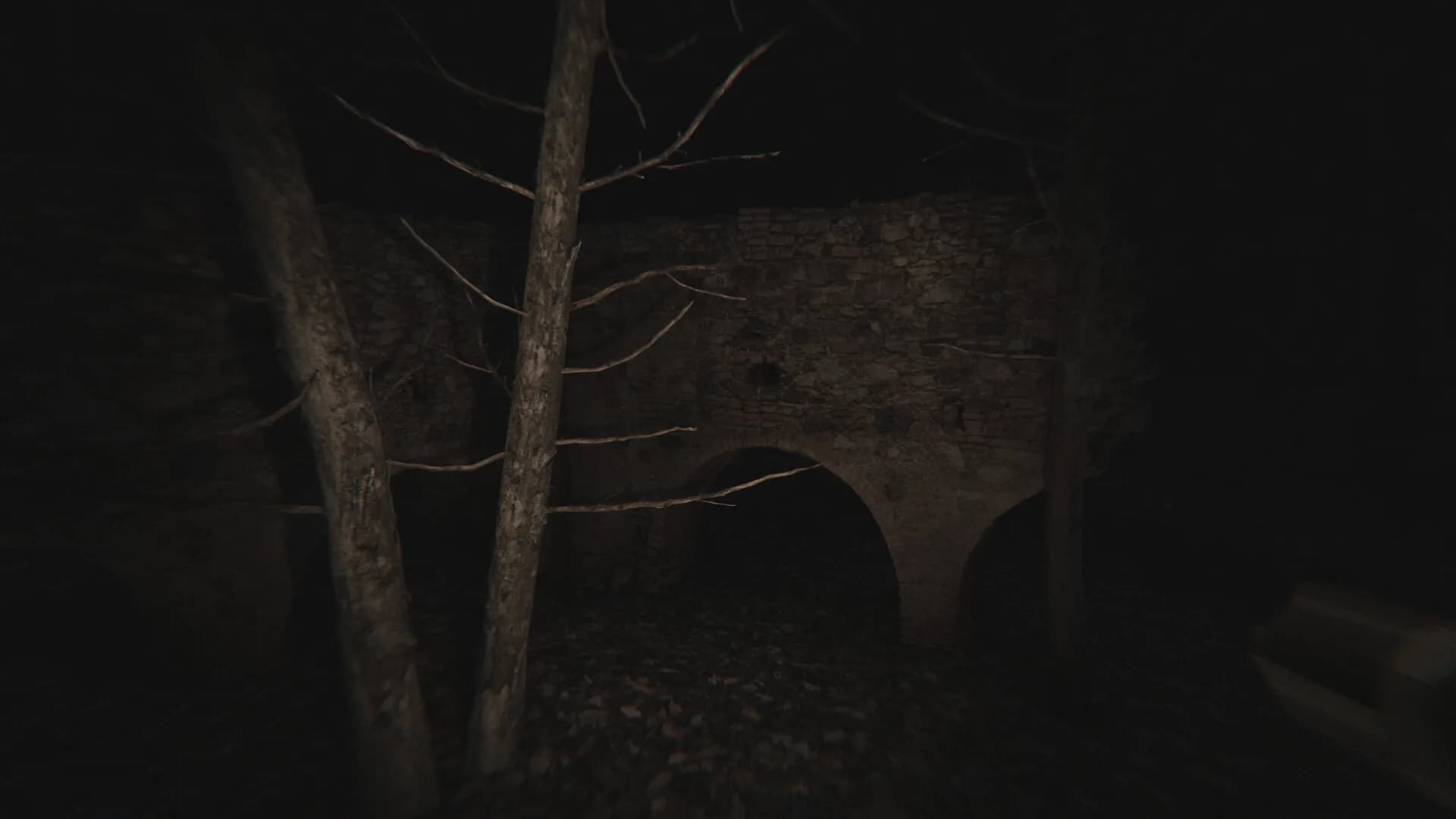 Dead Silence - Echoes of the Damned görsel 11