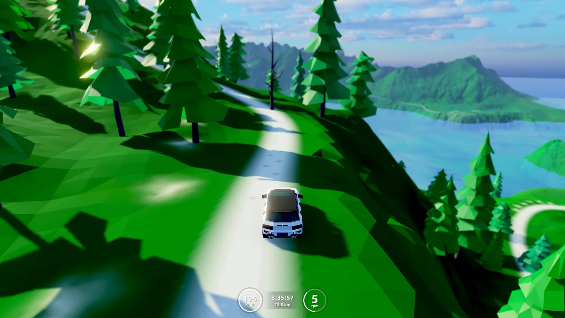 Poly Rally görsel 2
