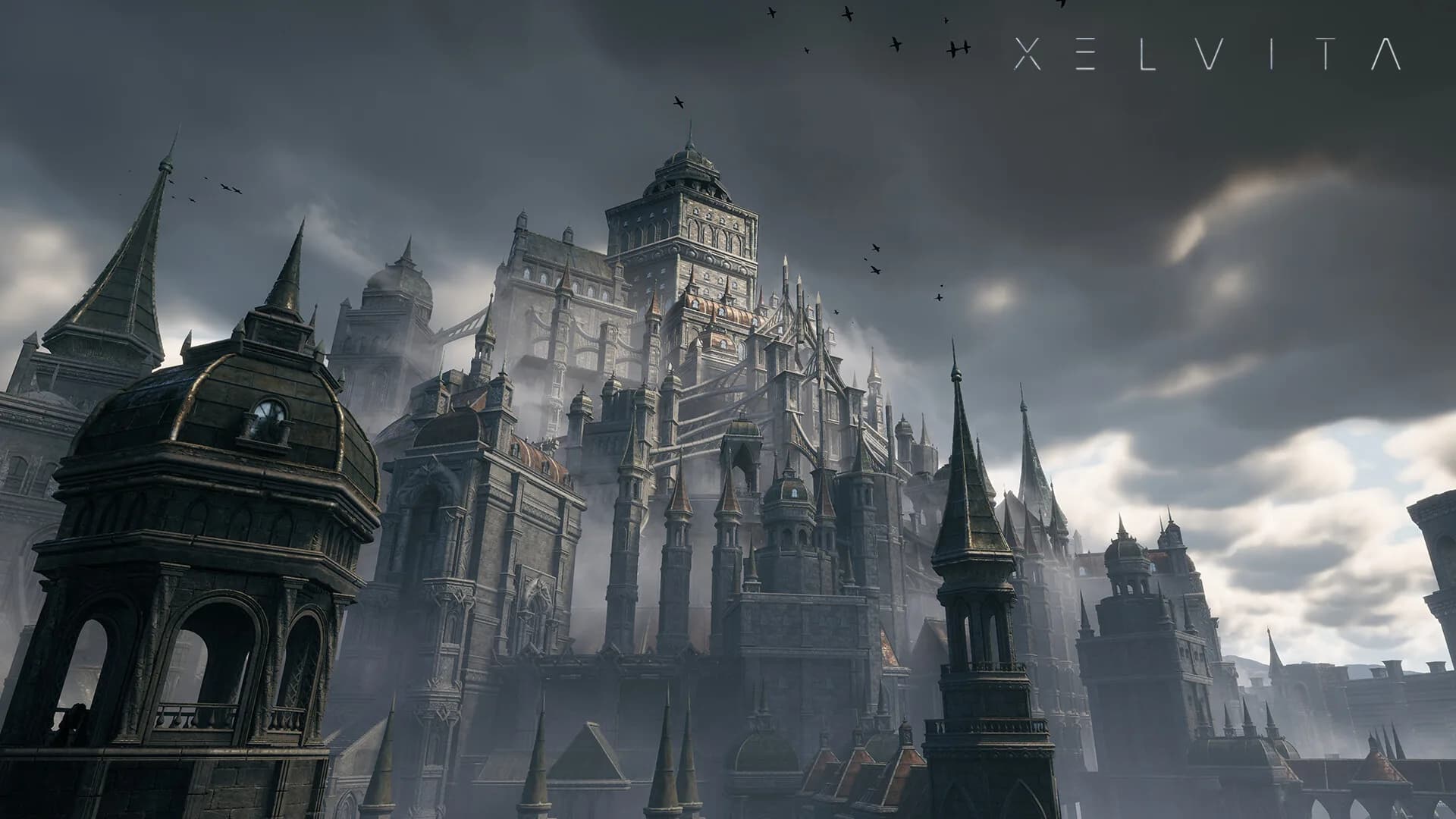 XELVITA görsel 5