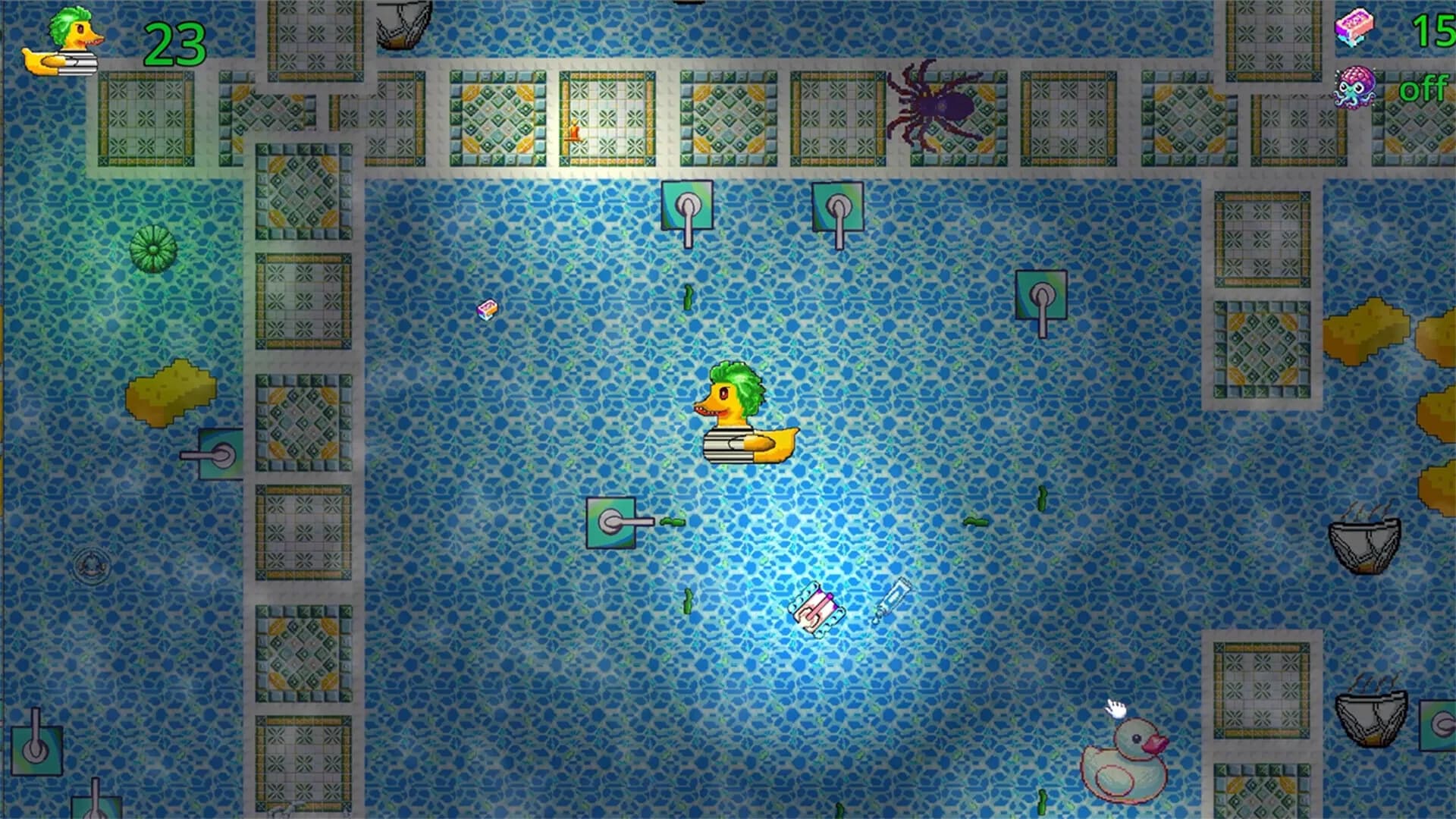 Duckpool görsel 3