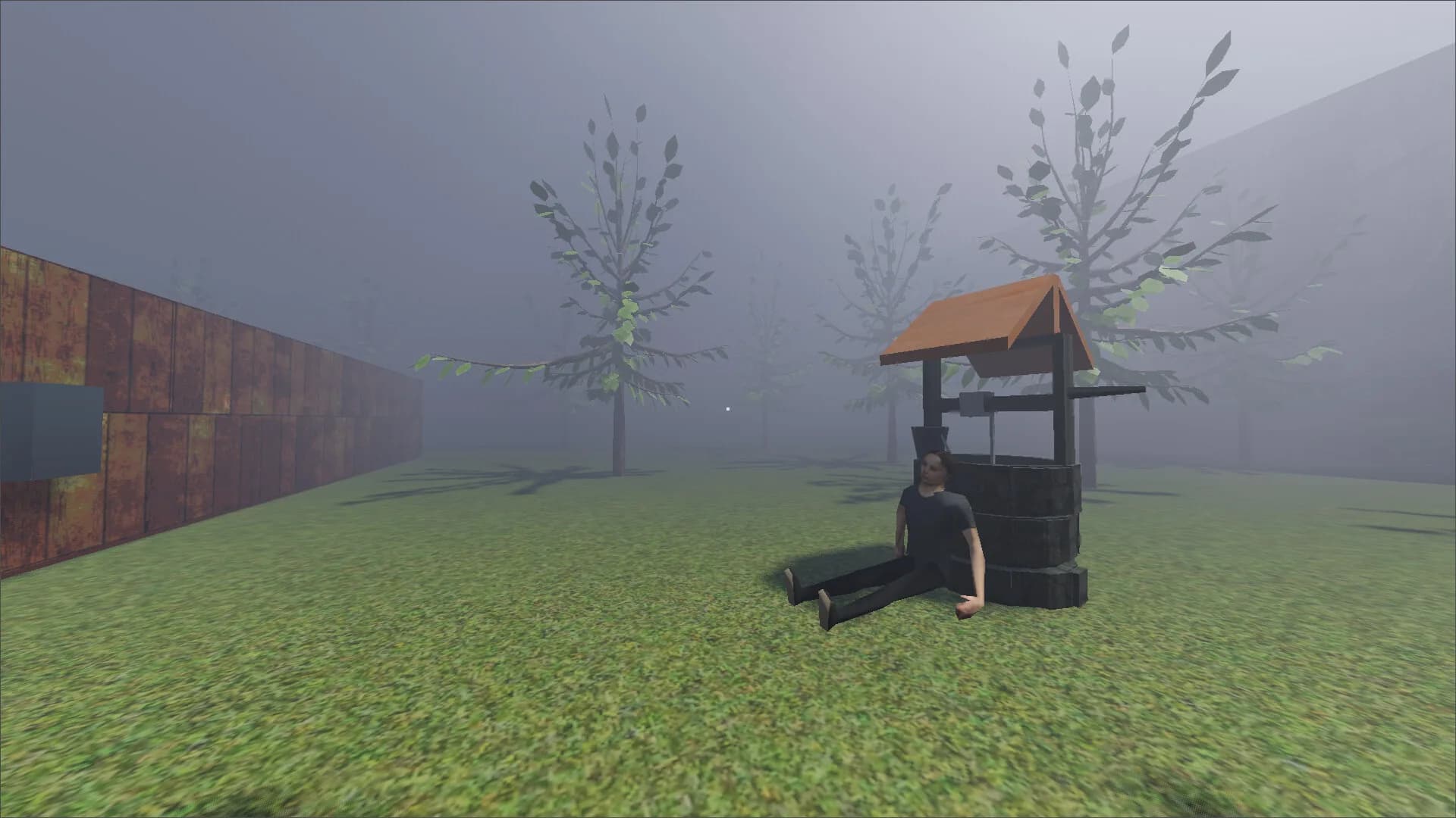 THE WELL görsel 2