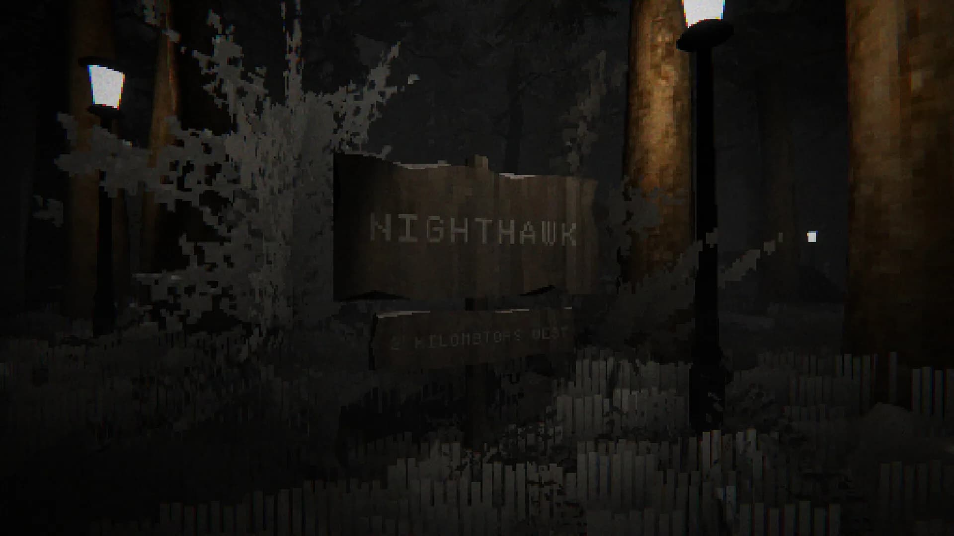 Nighthawk görsel 5