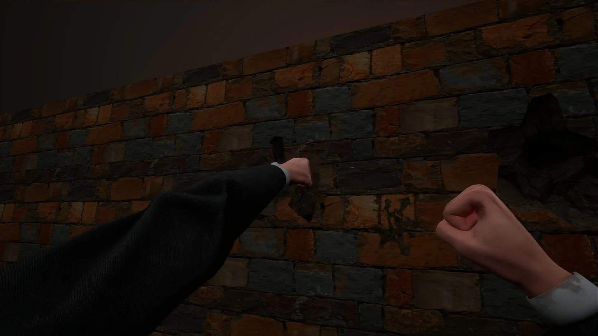 Why? görsel 9