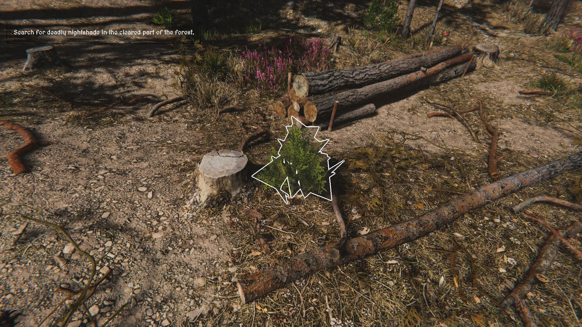 Herbalist Roman görsel 4