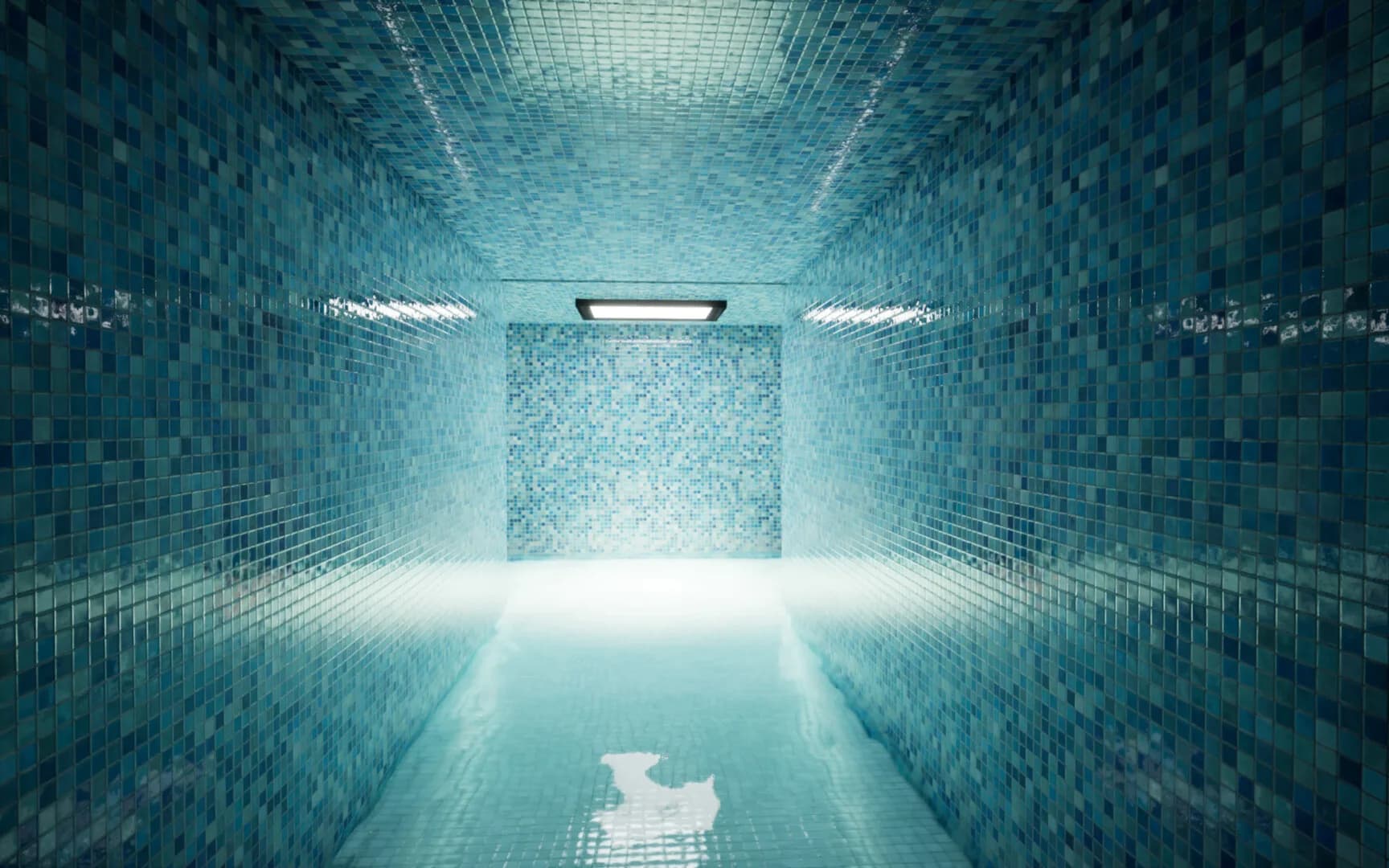 Escape the Liminal Space görsel 3