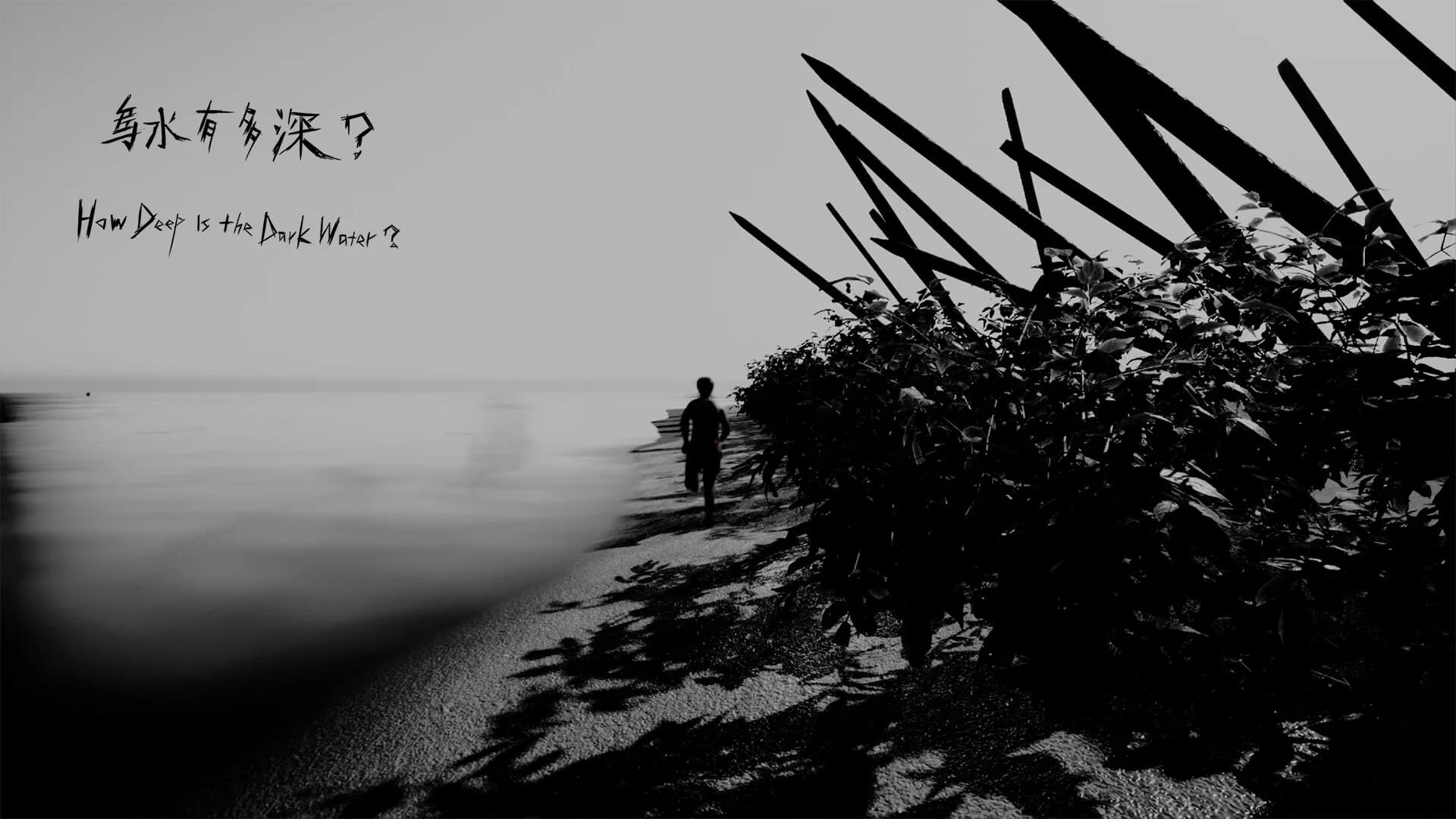 How Deep Is the Dark Water?  (乌水有多深?) görsel 2