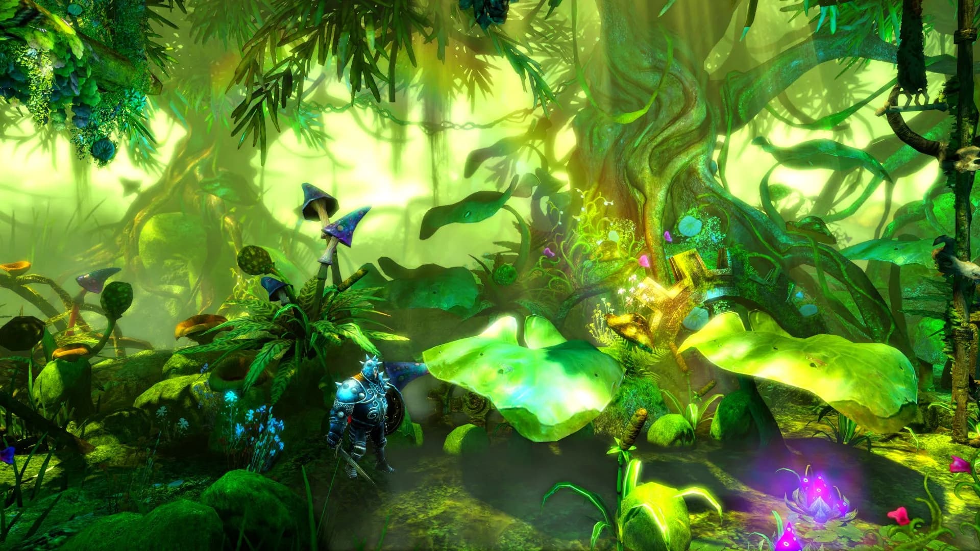 Trine 2: Complete Story görsel 12