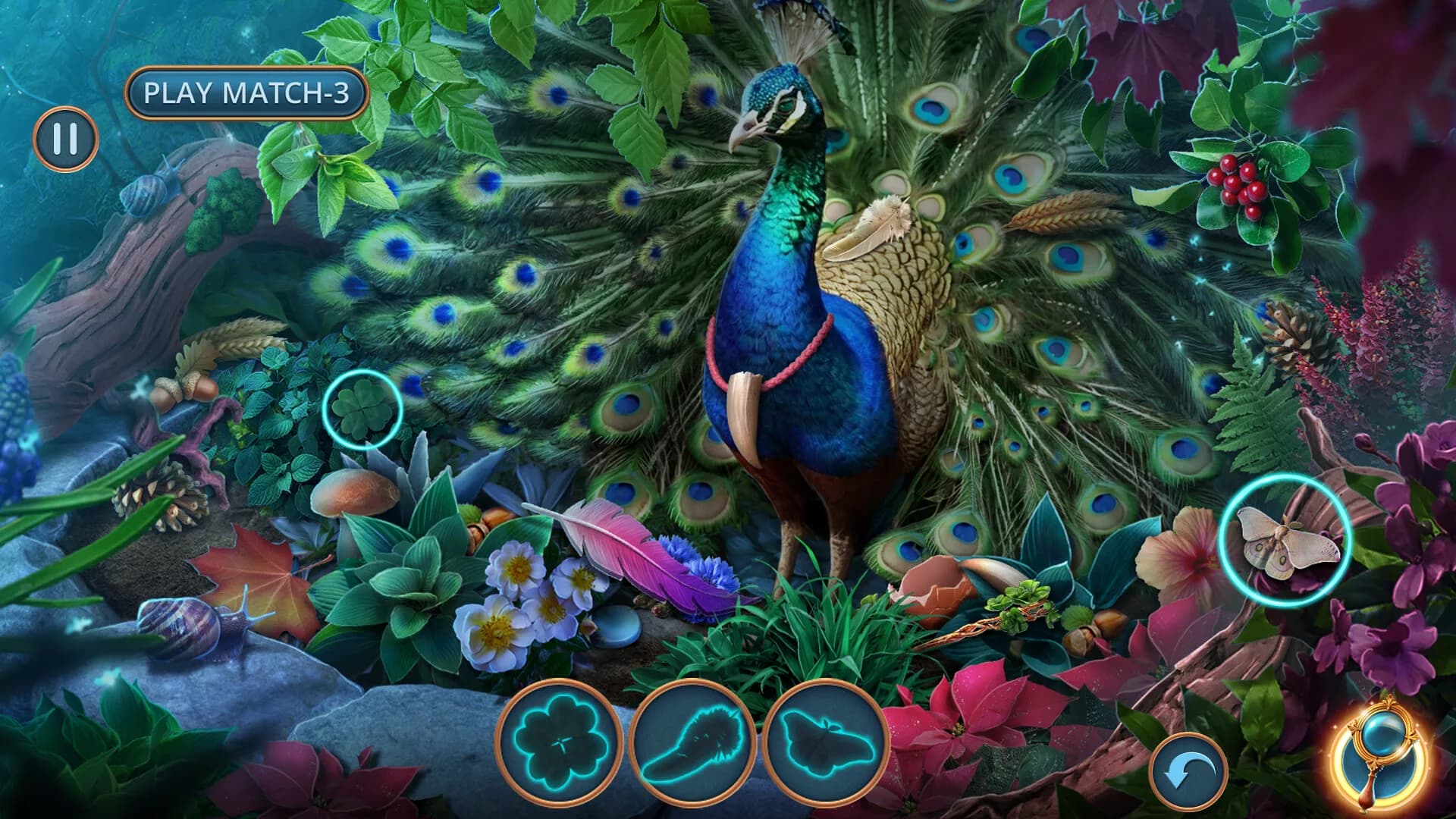 Enchanted Stories: Mystic Woods Collector's Edition görsel 4