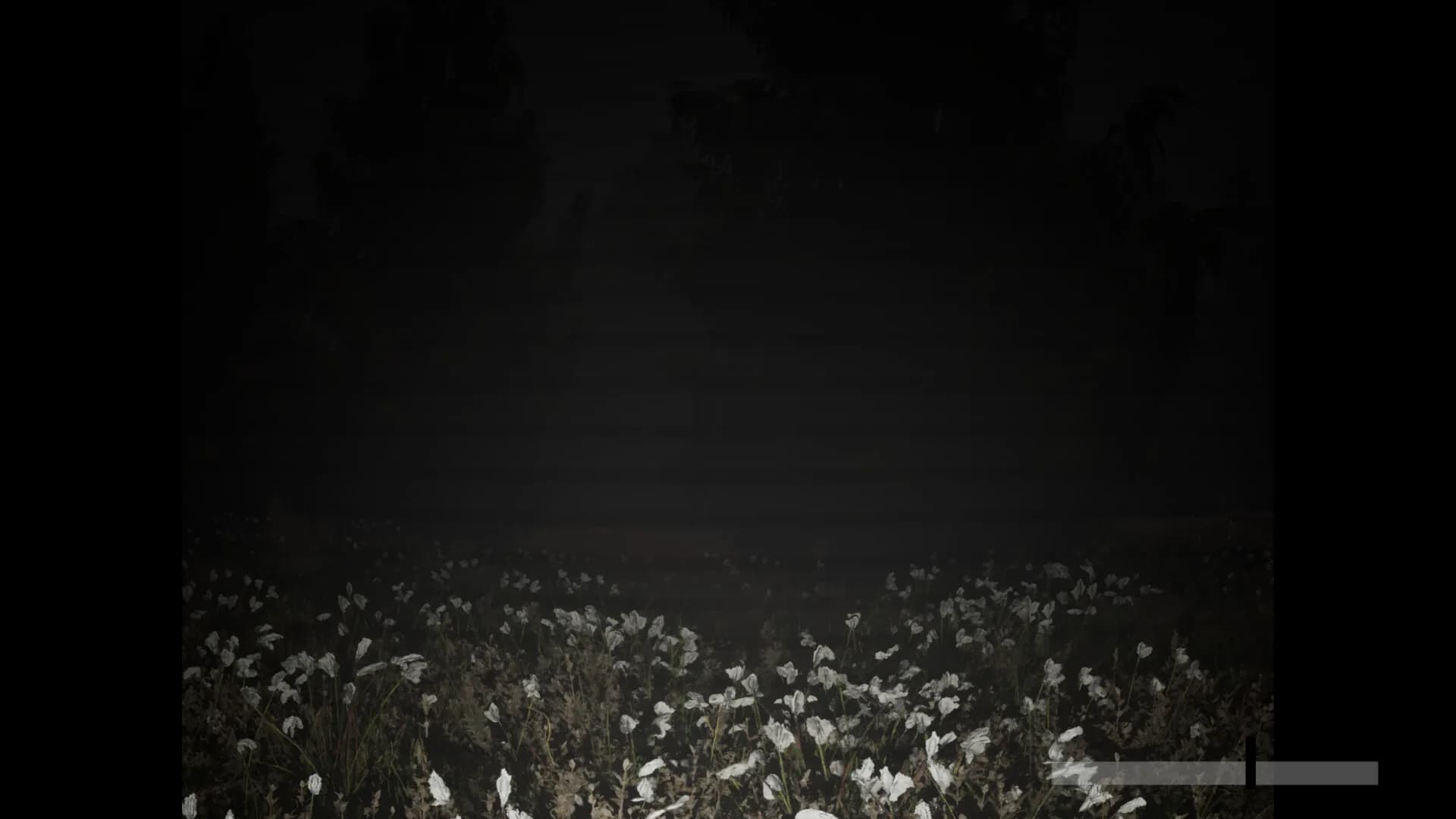 Wildervan Files görsel 2
