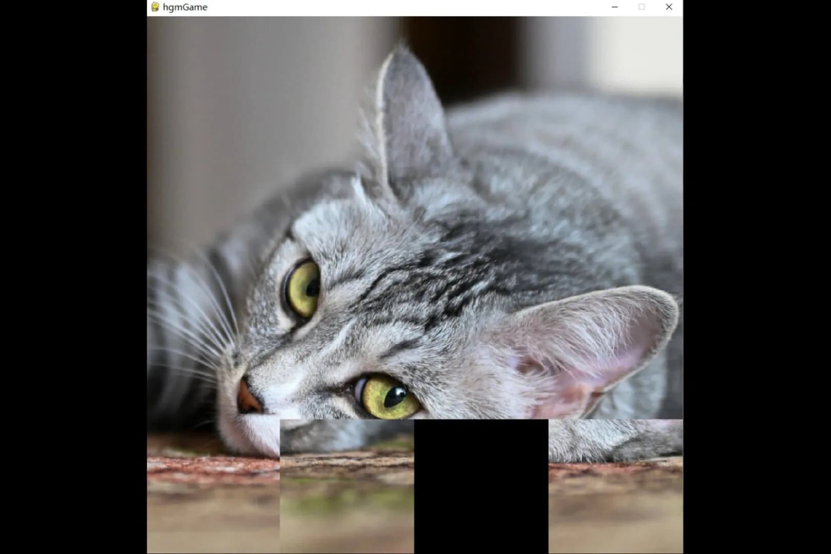 hgmGame-cat görsel 2