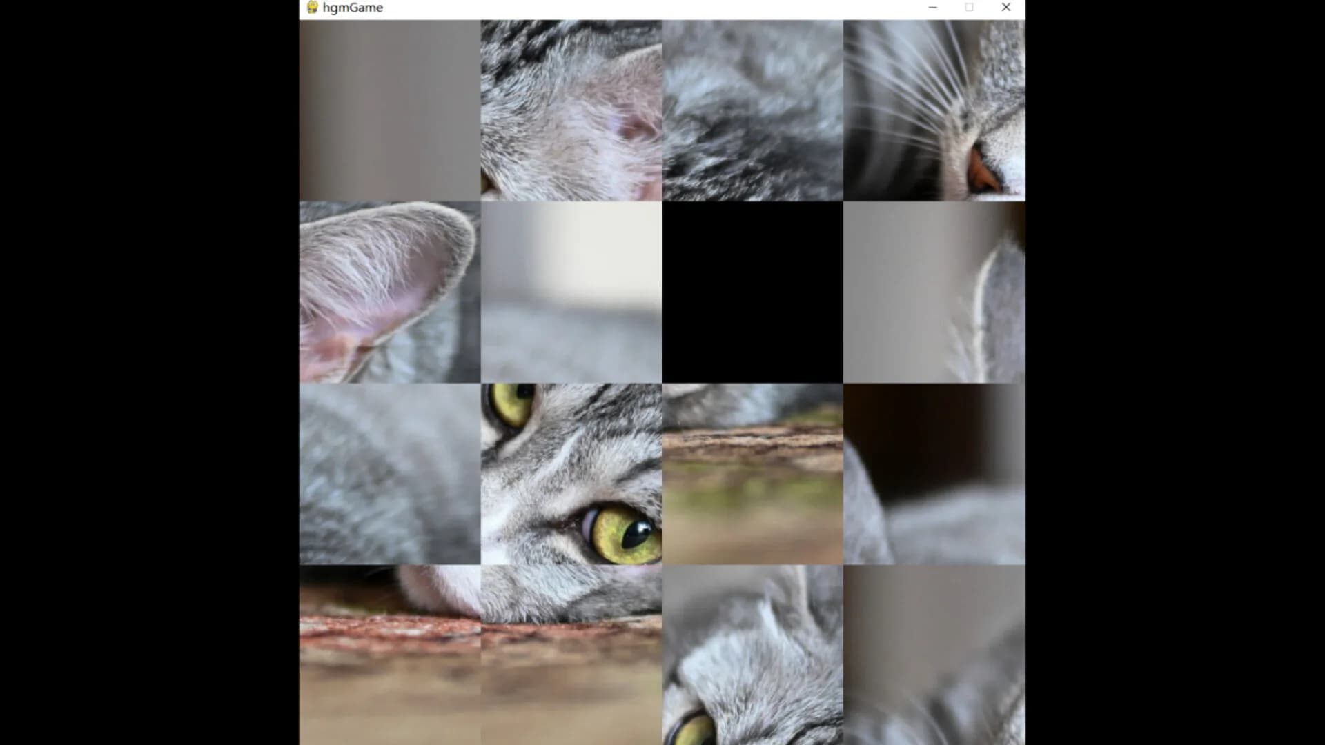 hgmGame-cat görsel 3