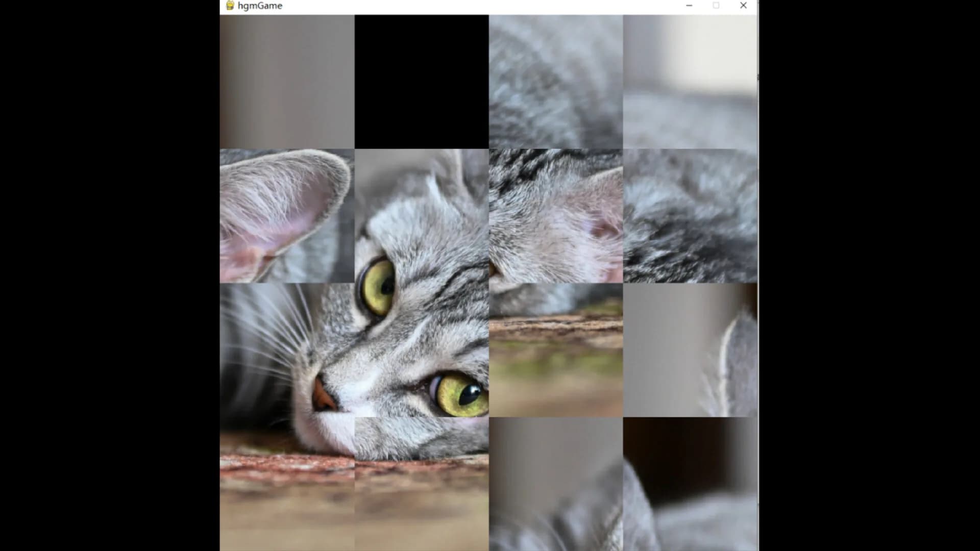 hgmGame-cat görsel 4