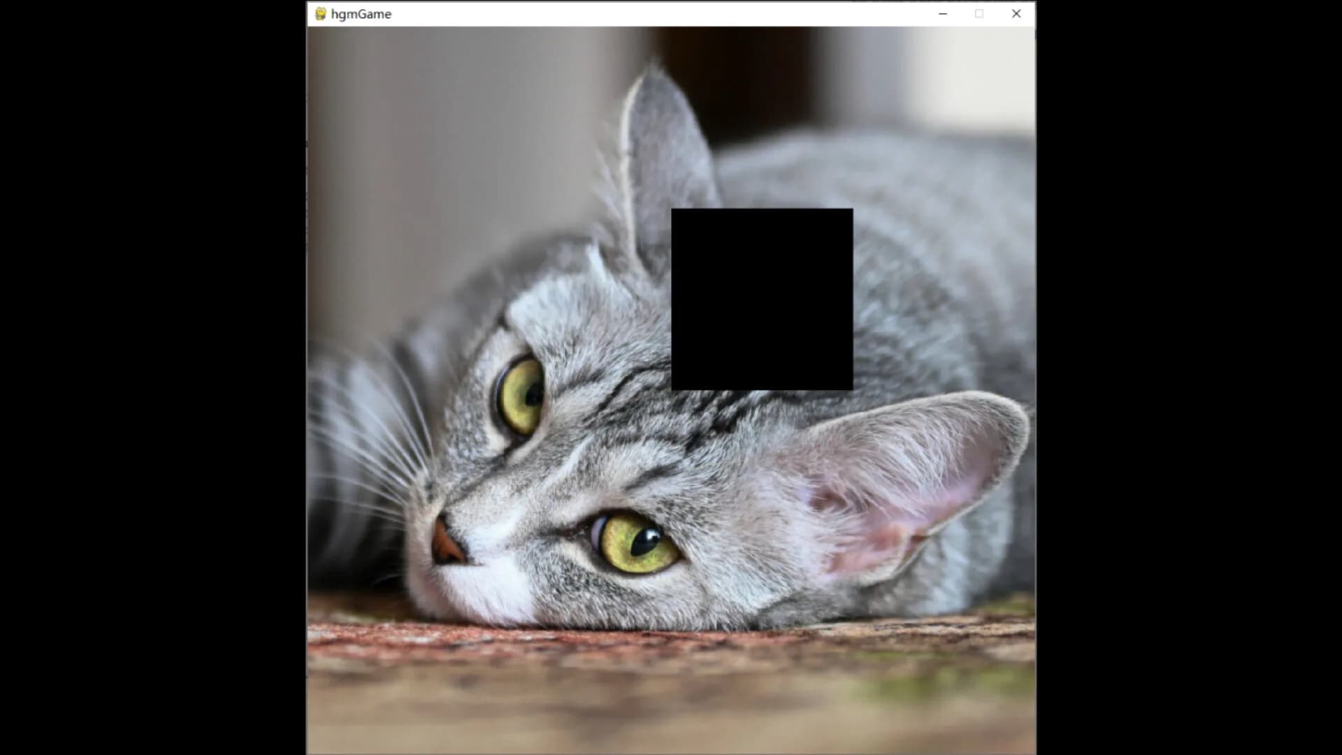 hgmGame-cat görsel 6