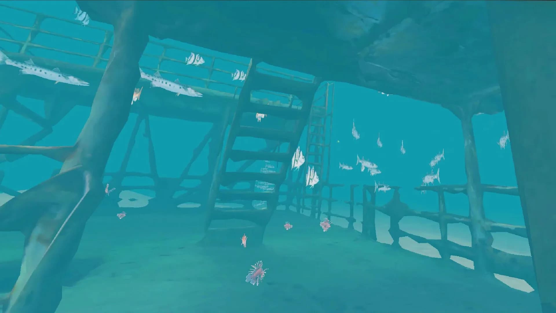 Shipwreck Discovery görsel 4