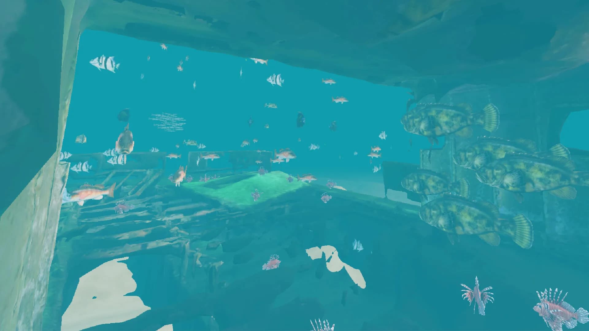 Shipwreck Discovery görsel 10