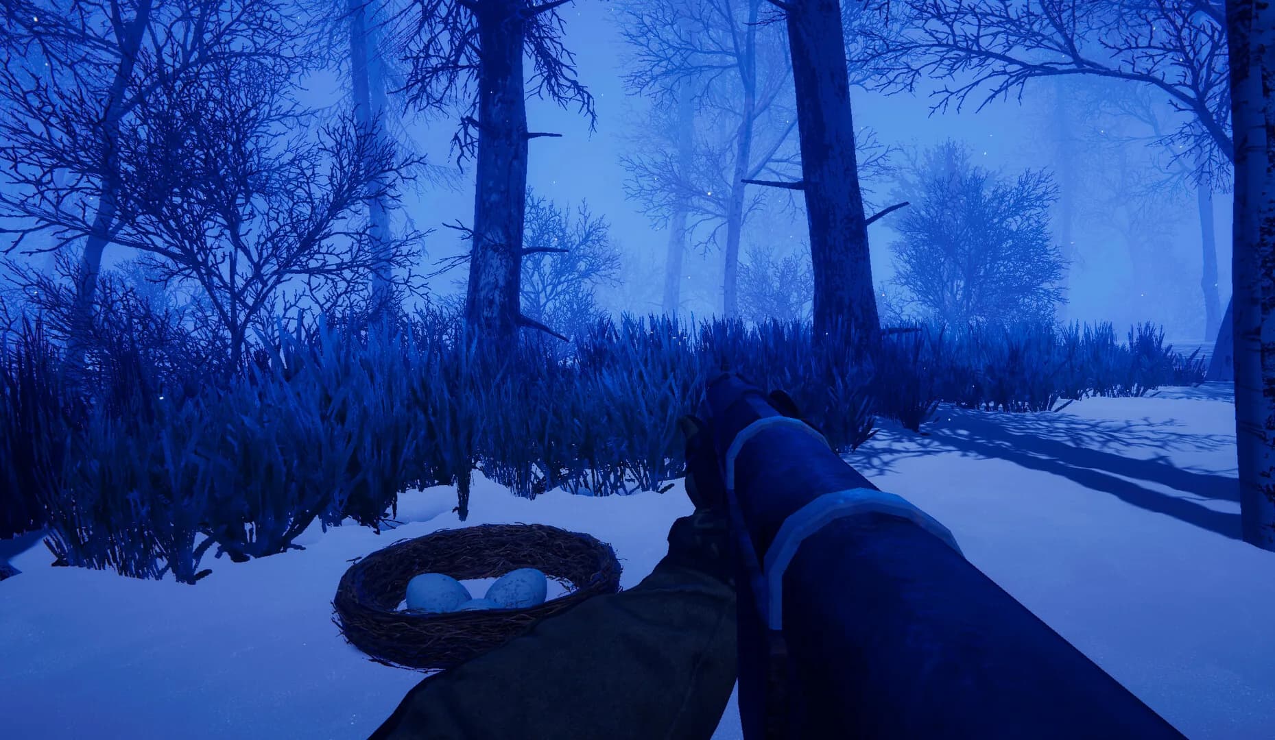 Primal Frost görsel 4