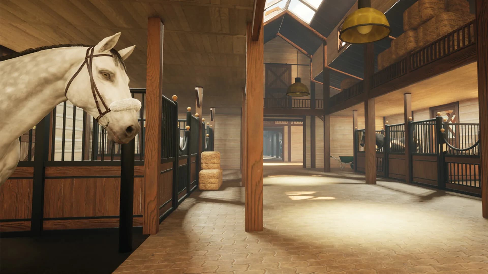 Giddy Up görsel 2