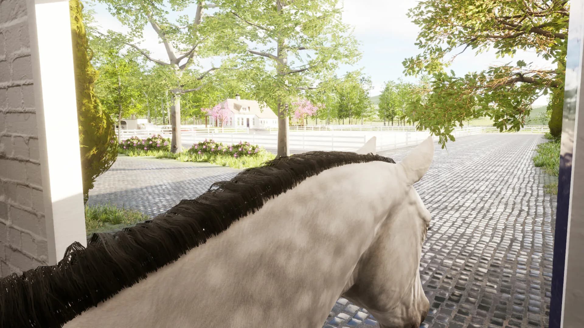 Giddy Up görsel 13