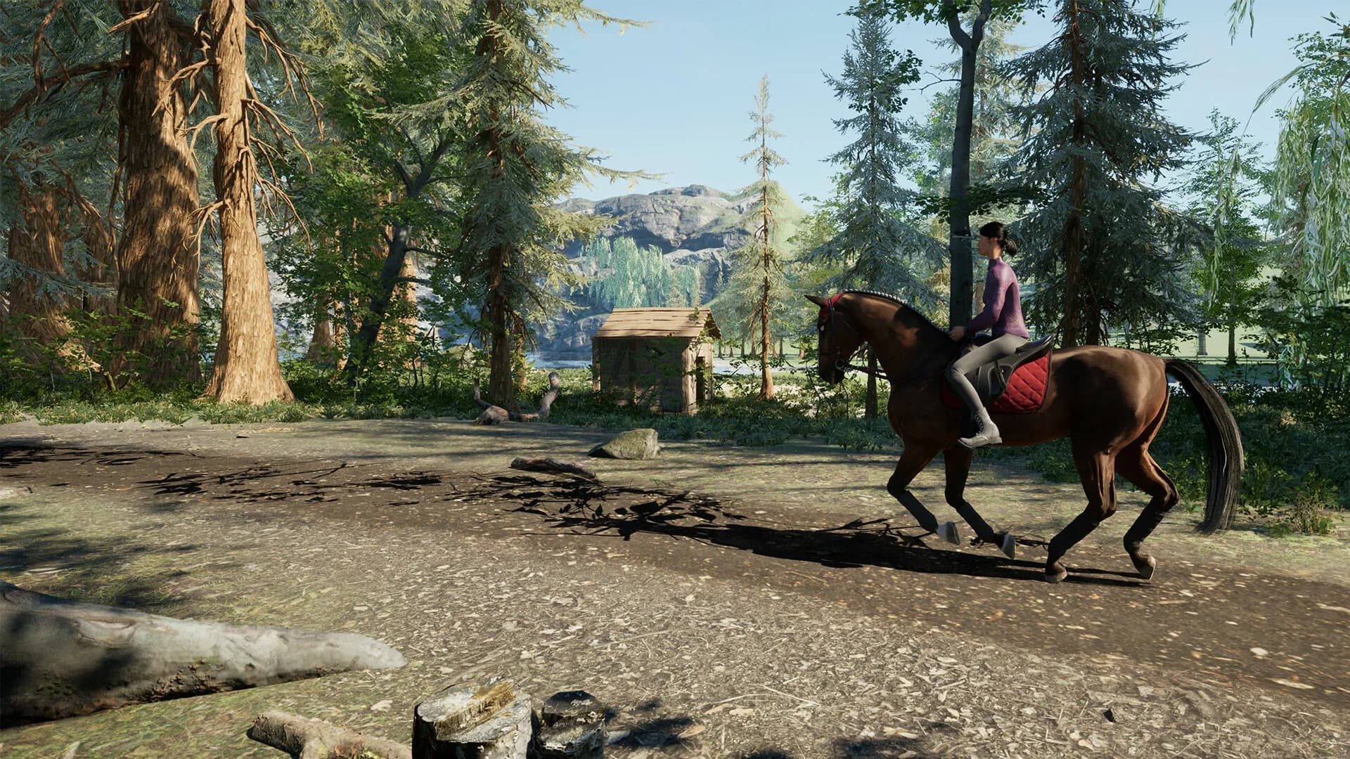 Giddy Up görsel 5