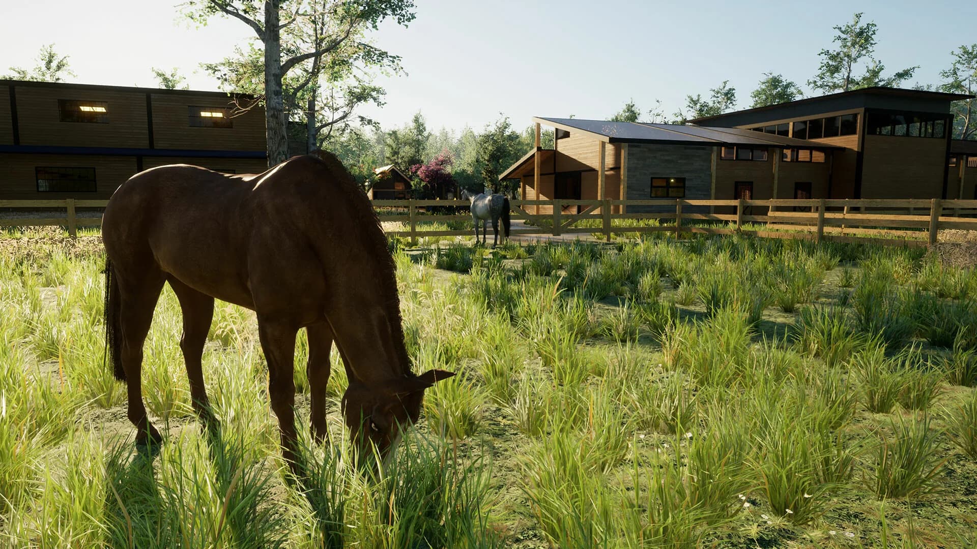 Giddy Up görsel 9