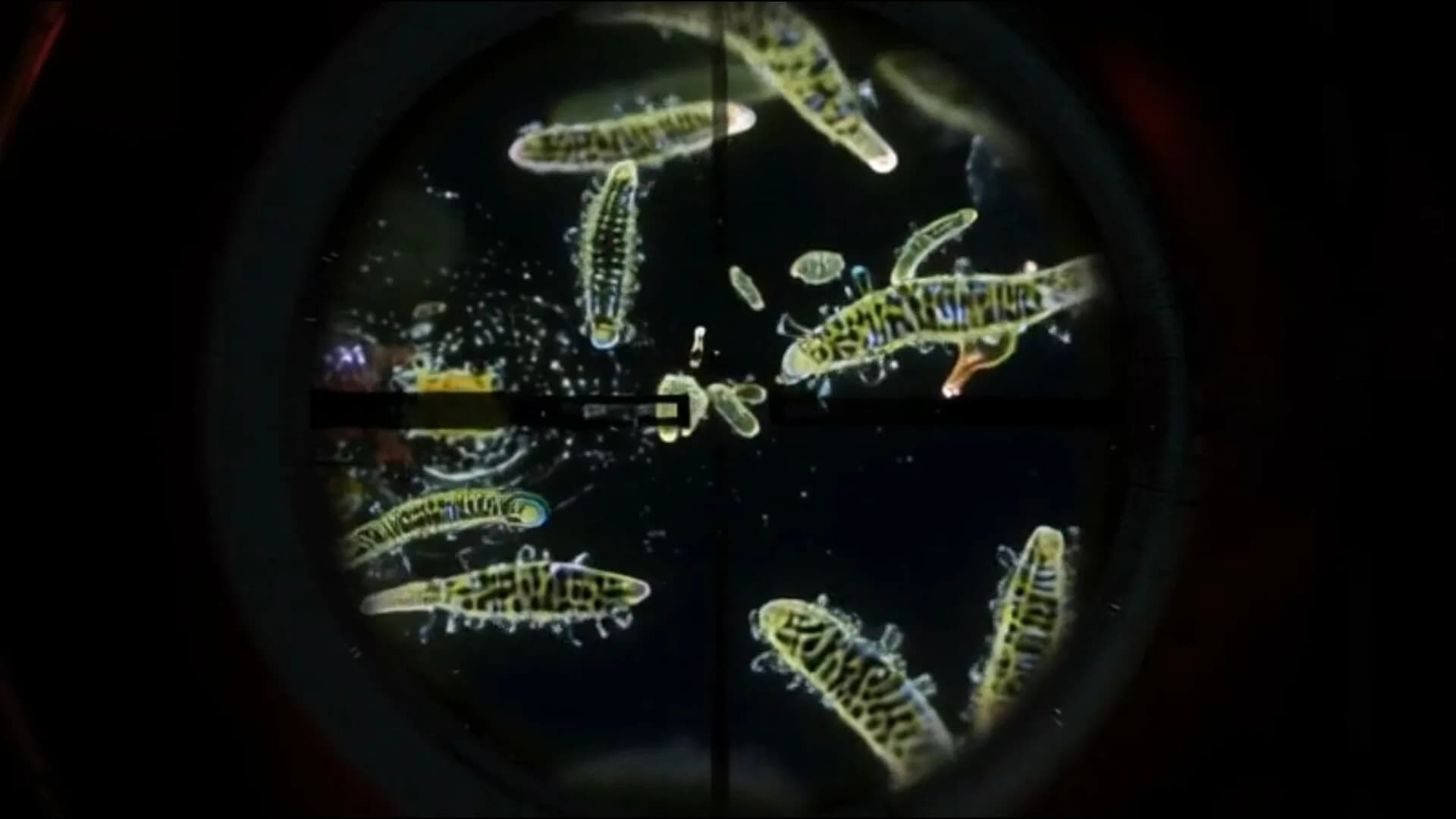 Scientist Simulator görsel 9