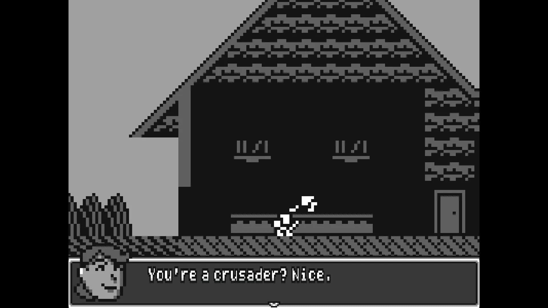 Crusaderman görsel 5