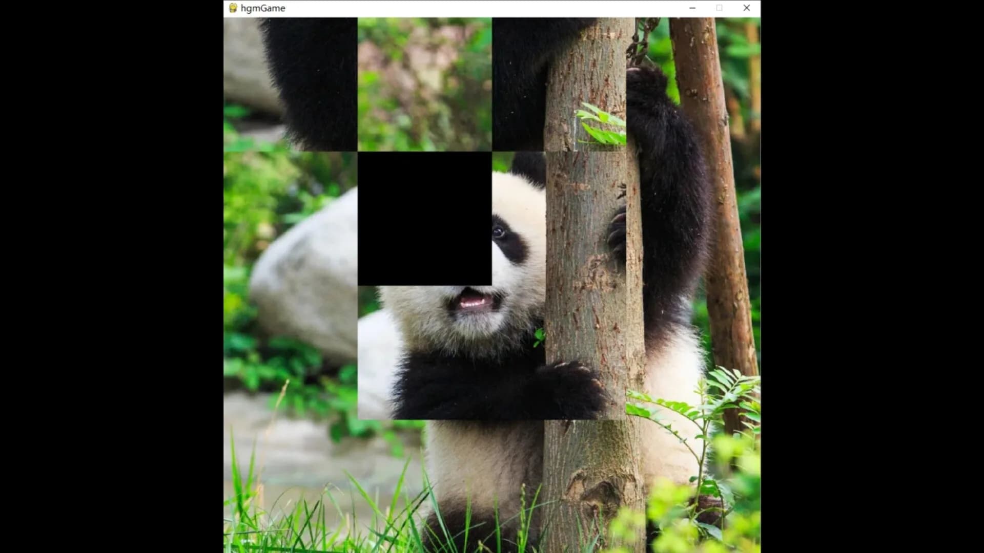 hgmGame-panda görsel 2