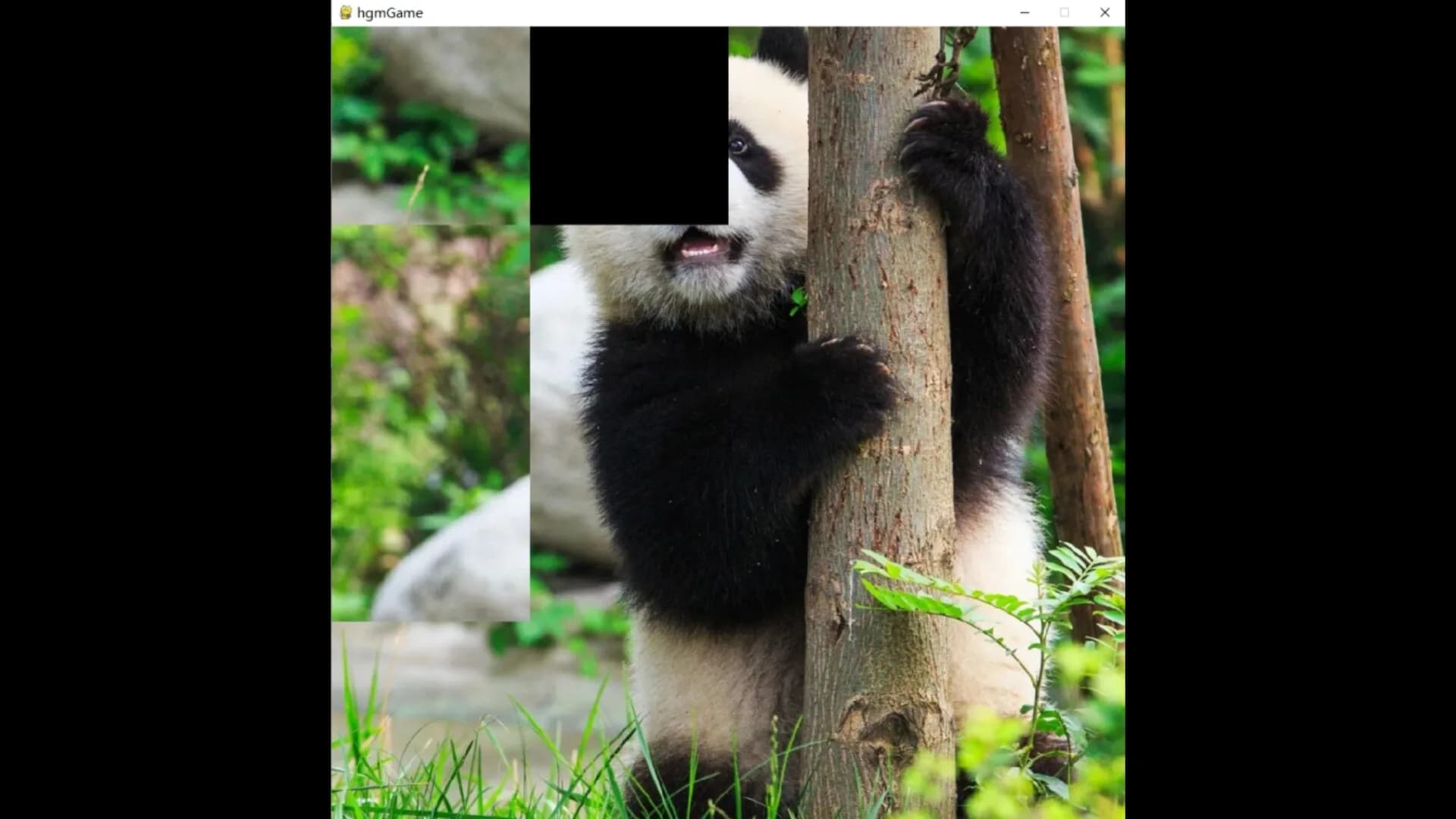 hgmGame-panda görsel 3