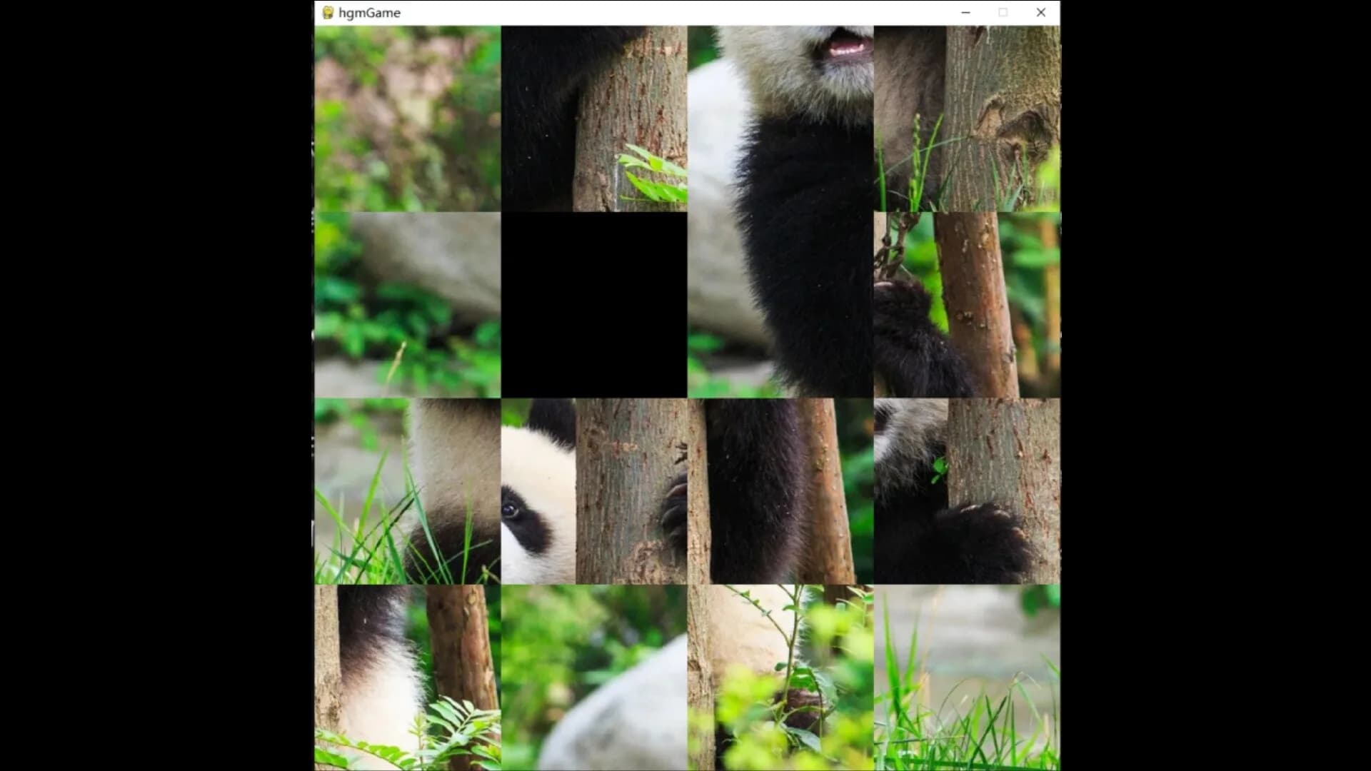 hgmGame-panda görsel 4