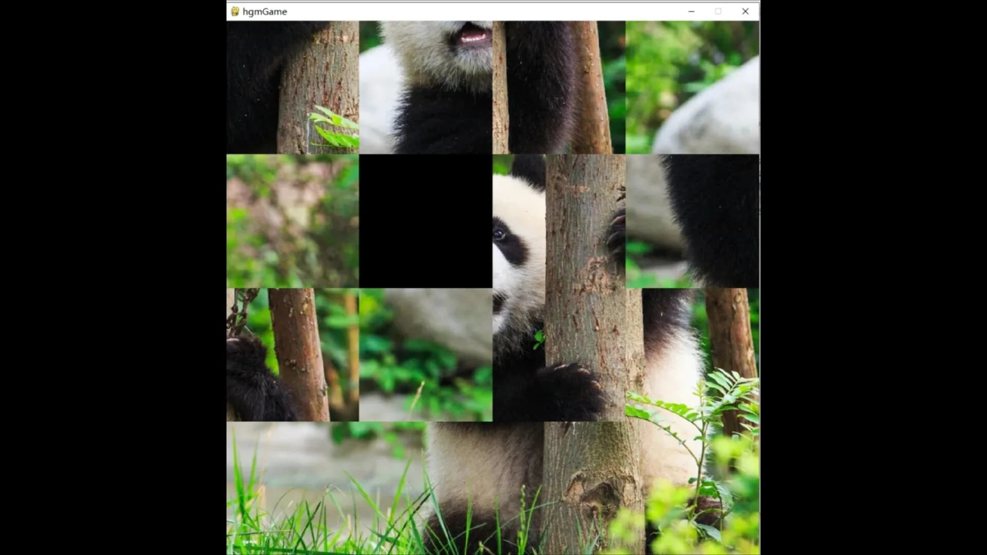 hgmGame-panda görsel 5