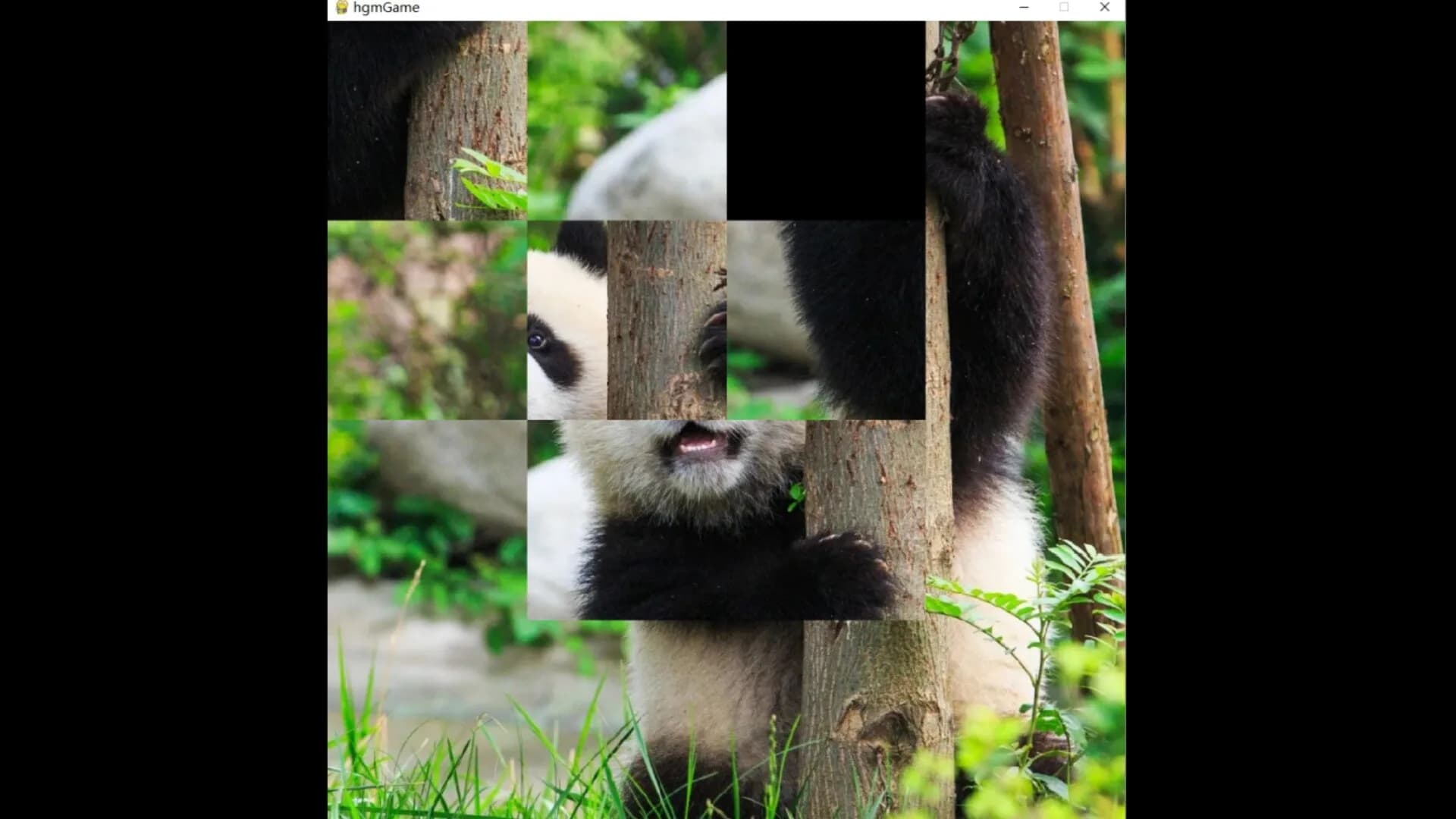 hgmGame-panda görsel 6