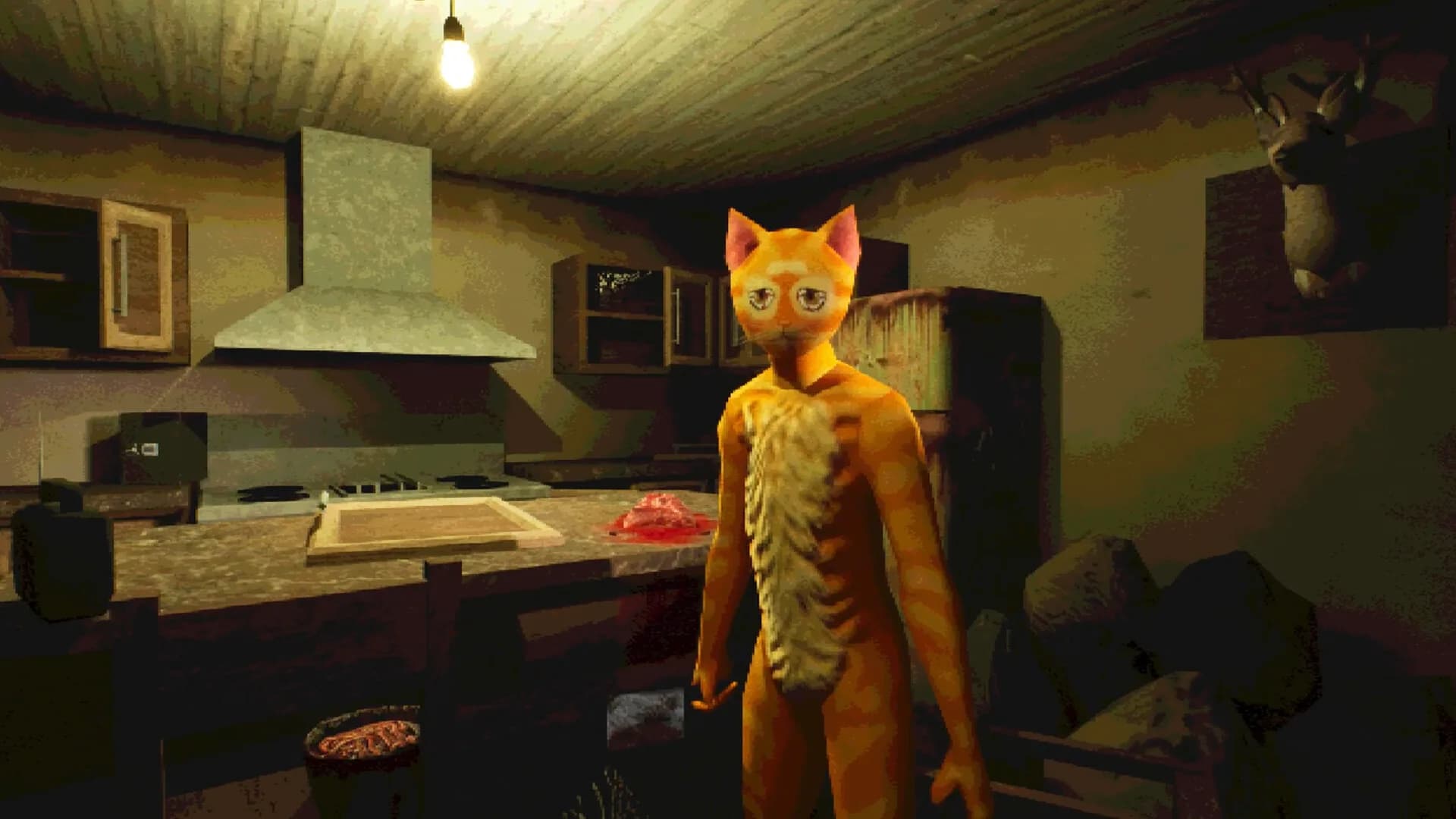 Cat Named Mojave görsel 2