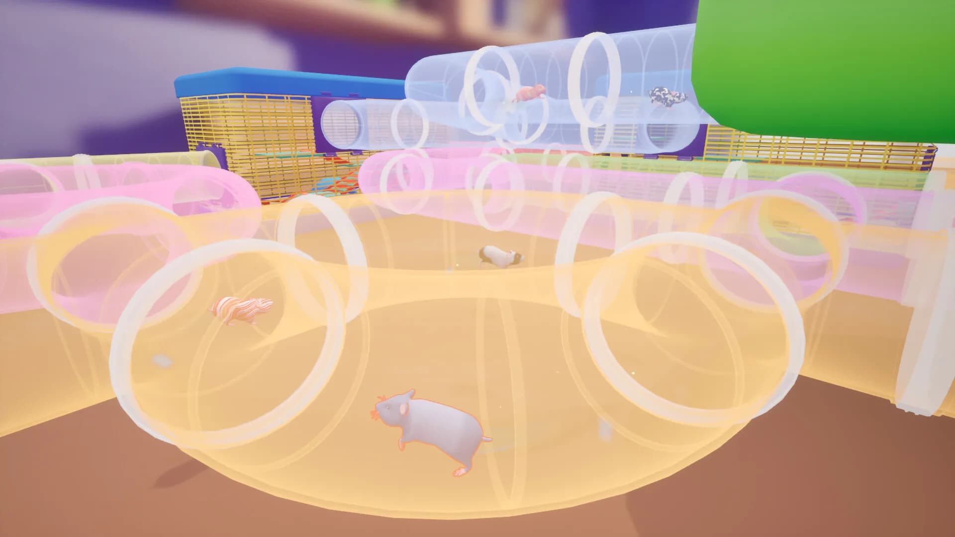Hamster Hustle görsel 2