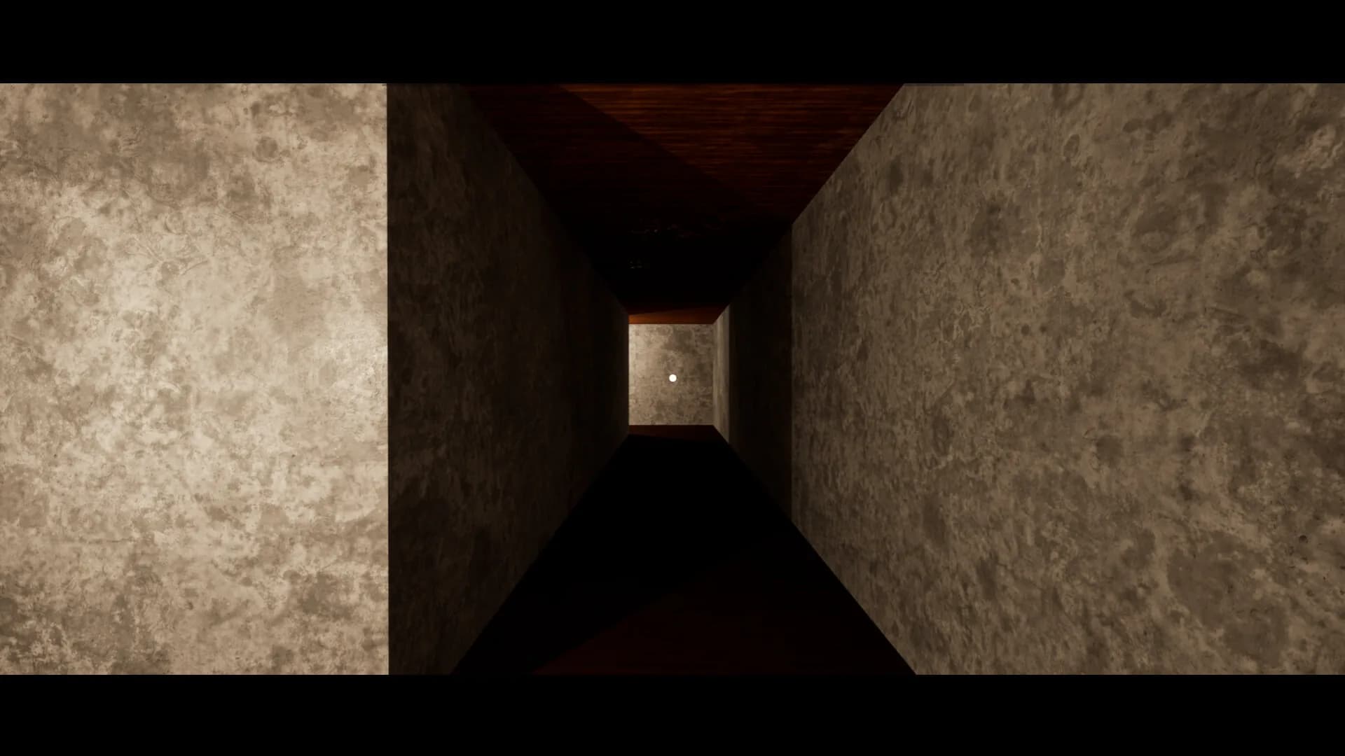 SCHIZOPHRENIA görsel 6