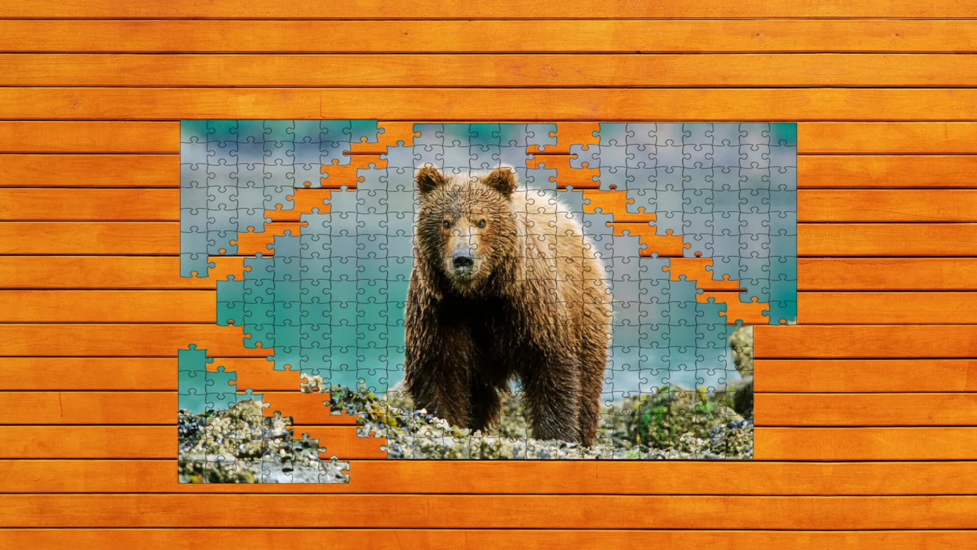 Bear vs. Wolf Jigsaw Puzzle görsel 4