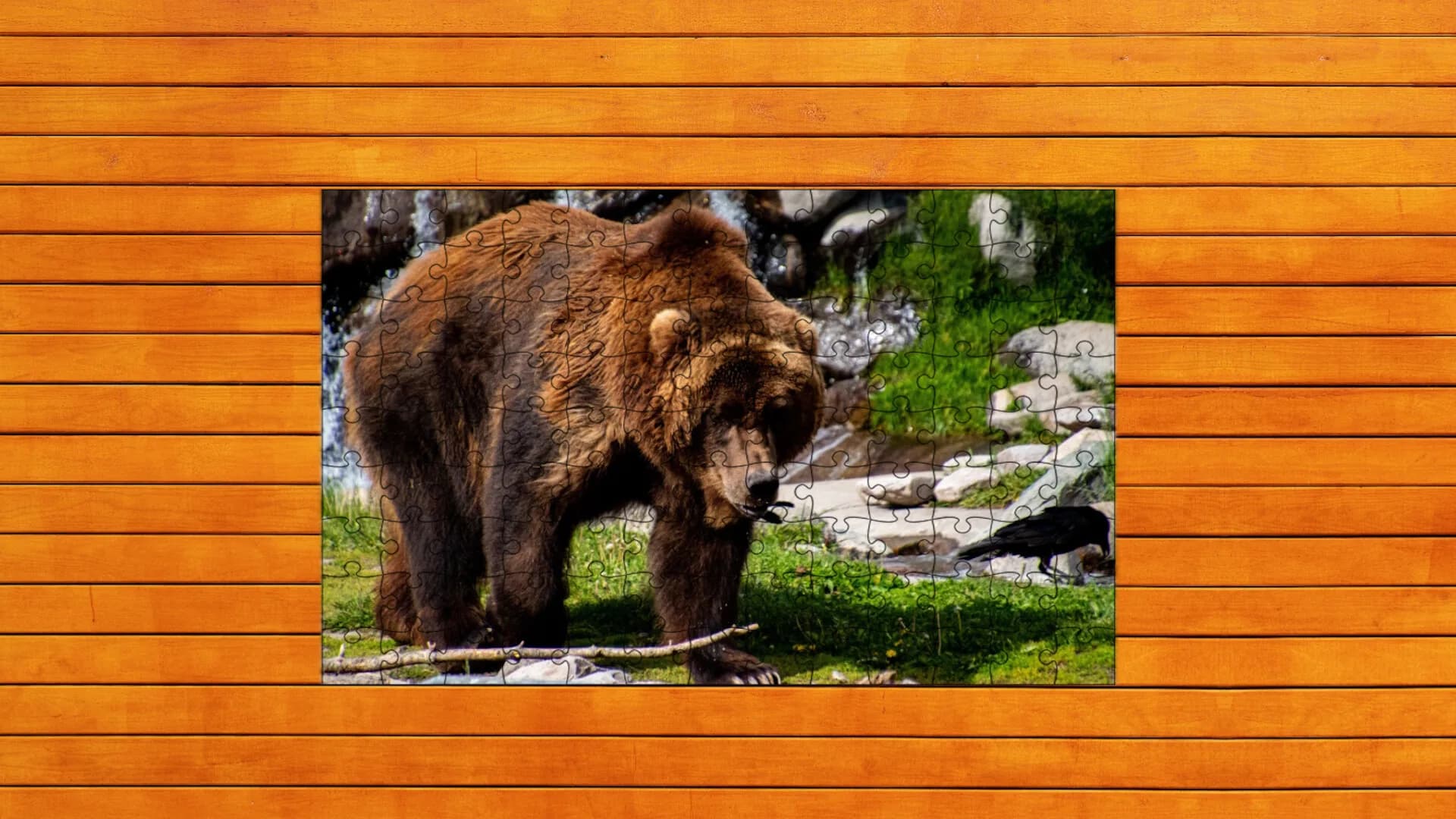 Bear vs. Wolf Jigsaw Puzzle görsel 5