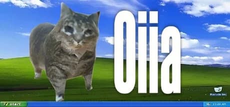 oiia görsel 1